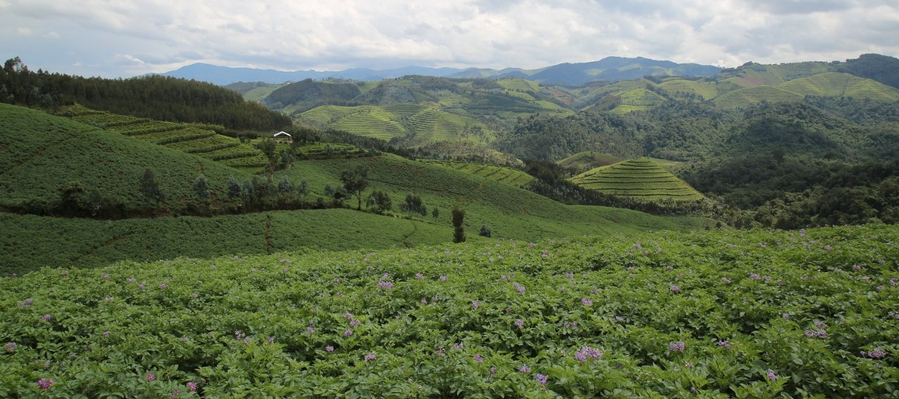 How Rwanda Inspires Wetland Conservation