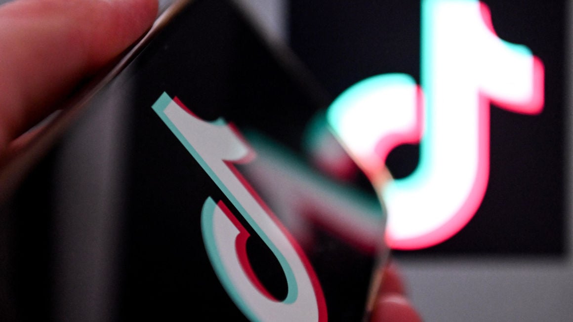 Explainer: Why the US government is trying to ban TikTok