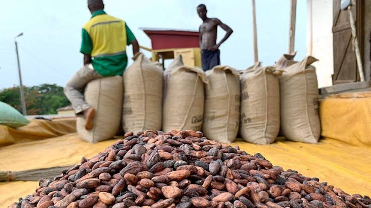 High Cocoa Prices Squeeze Cameroon Chocolate-Makers