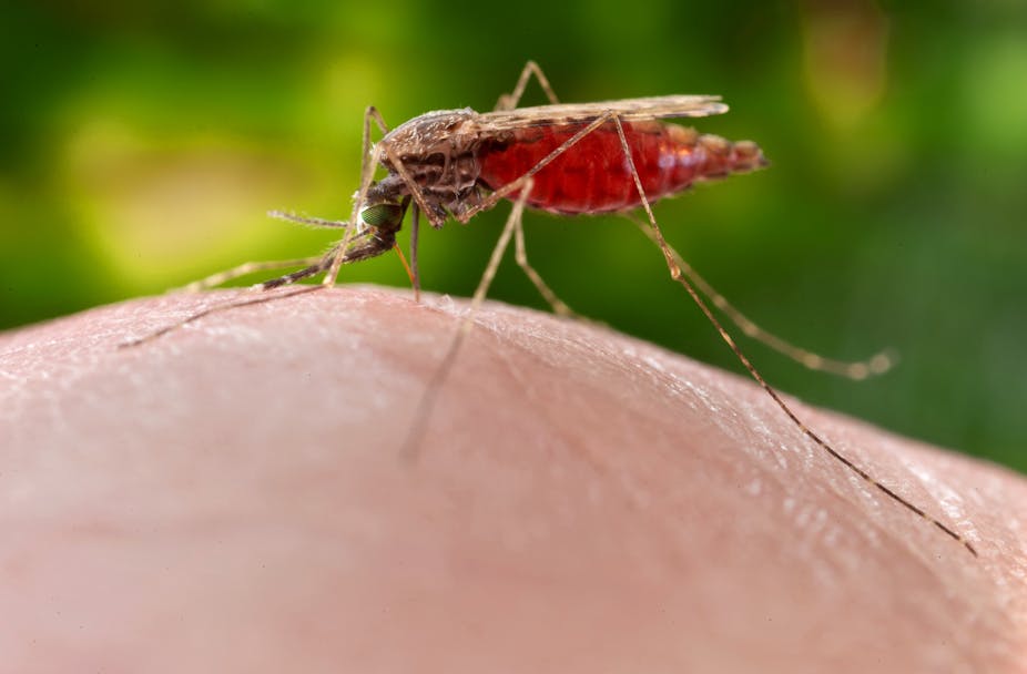 Rwanda to Meet WHO Target for Malaria Reduction by 2025