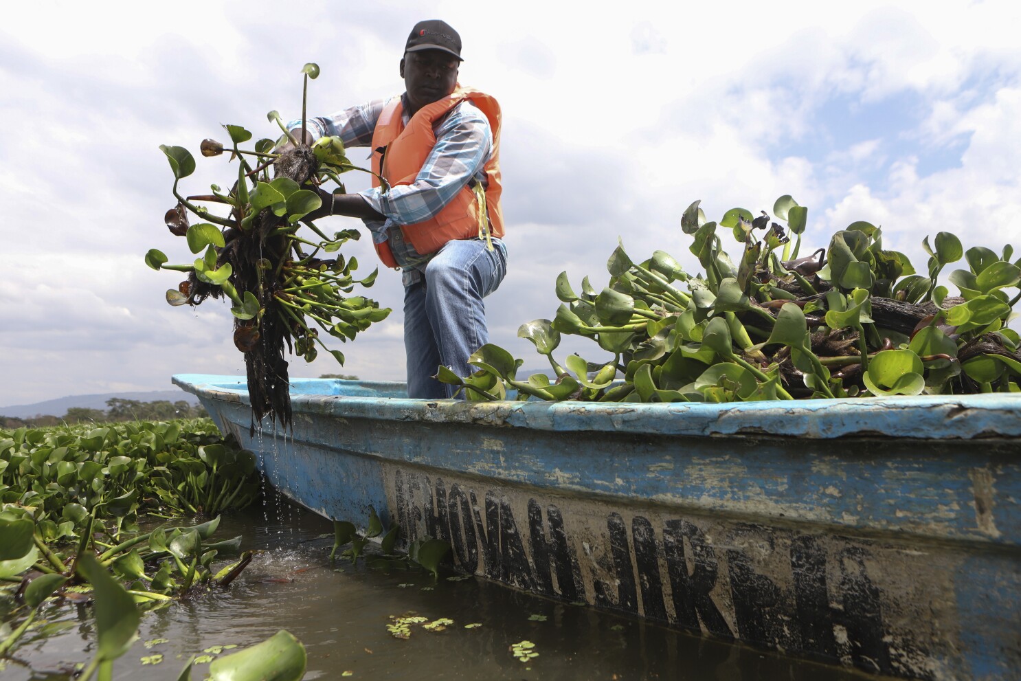 Kenyan Startup Turns Invasive Plant into Biodegradable Packaging